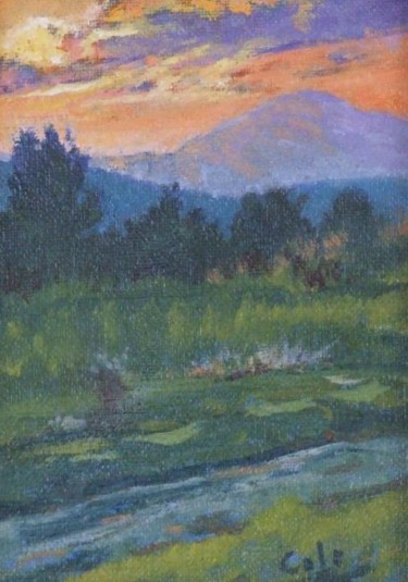 Painting titled "Sharon Sunset" by Joan Cole, Original Artwork, Oil
