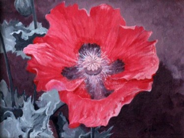Painting titled "Red Poppy" by Joan Cole, Original Artwork