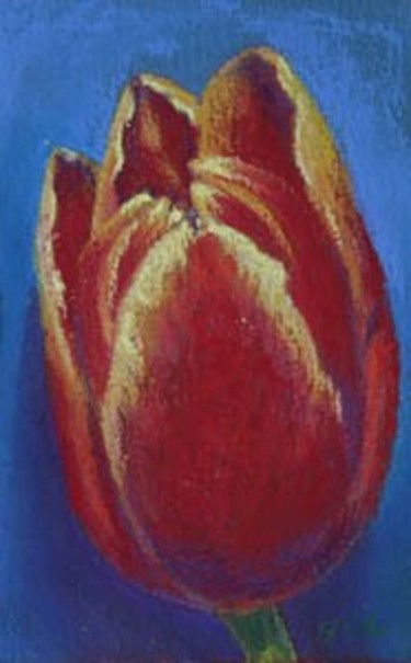 Painting titled "Red Tulip" by Joan Cole, Original Artwork
