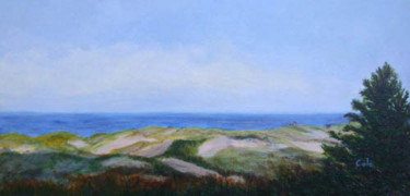 Painting titled "Race Point, Cape Co…" by Joan Cole, Original Artwork, Oil