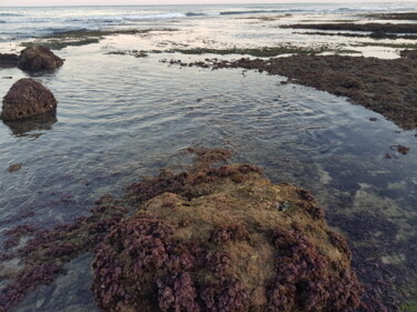 Photography titled "Corals beach in Bal…" by Joanna Lizbeth, Original Artwork, Non Manipulated Photography