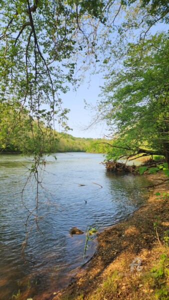 "Conemaugh River" başlıklı Fotoğraf Joanna Lizbeth tarafından, Orijinal sanat, Fotoşopsuz fotoğraf