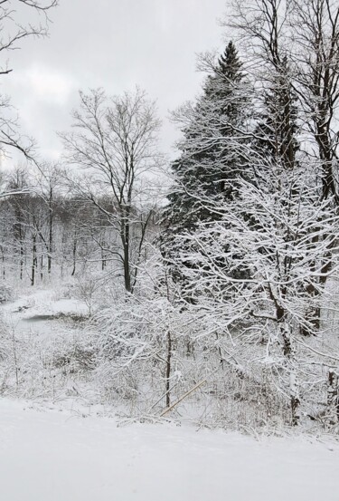 Fotografia intitulada "Winter is coming" por Joanna Lizbeth, Obras de arte originais, Fotografia Não Manipulada