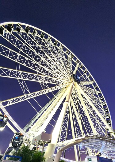 Fotografie getiteld "Miami Ferris Wheel" door Joanna Lizbeth, Origineel Kunstwerk, Digitale fotografie