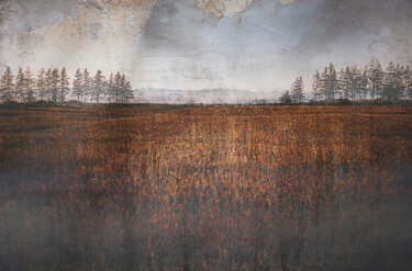 Arte digital titulada "Rusty Metal Field." por Joanne Lemay, Obra de arte original, Pintura Digital