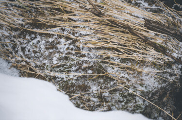 Photographie intitulée "The snow is back." par Joanne Lemay, Œuvre d'art originale, Photographie numérique