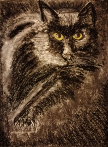 Zeichnungen mit dem Titel "O Gato" von João Bernardo, Original-Kunstwerk, Pastell