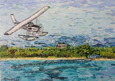 Malerei mit dem Titel "Airplane Hydro" von João Miranda, Original-Kunstwerk, Öl