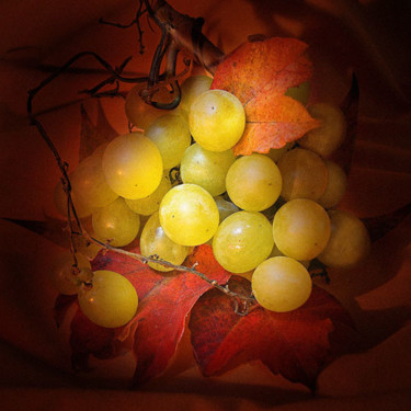 Photography titled "Grapes" by Joanna Pechmann, Original Artwork