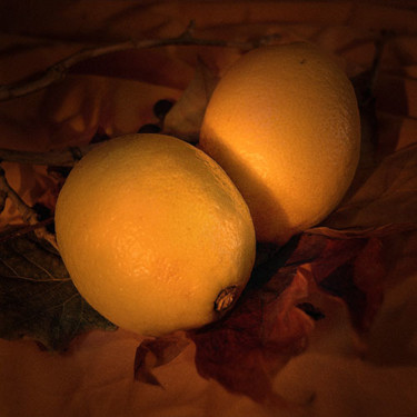 Photography titled "Two lemons" by Joanna Pechmann, Original Artwork