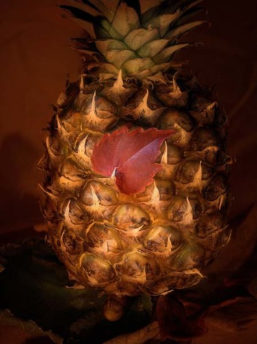Photography titled "Pineaple" by Joanna Pechmann, Original Artwork