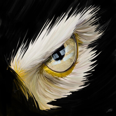 Arts numériques intitulée "Oeil aigle américain" par Jocelyn Bouget (crealab), Œuvre d'art originale, Peinture numérique