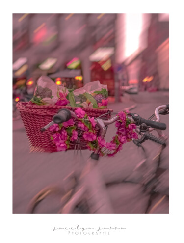 Fleurs en ballade Photographie intitulée "Fleurs en ballade" par Jocelyn Josso, Œuvre d'art originale, Photographie numérique
