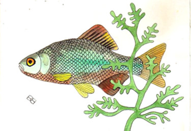 Collages intitulée "poisson" par Jocelyne Chambellan, Œuvre d'art originale, Autre