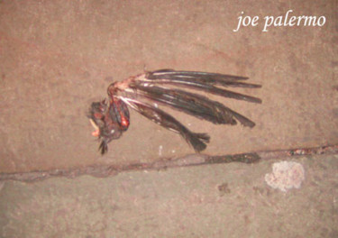 Painting titled "lost wing" by Joe Palermo, Original Artwork
