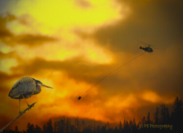Photography titled "Heron and Heli Fire…" by Joe Pate, Original Artwork, Digital Photography