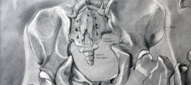 Zeichnungen mit dem Titel "Anatomie 1: Beckenk…" von Johann Krammer, Original-Kunstwerk, Bleistift