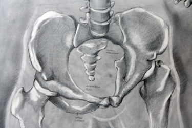 Рисунок под названием "Anatomie 1: Beckenk…" - Johann Krammer, Подлинное произведение искусства, Карандаш