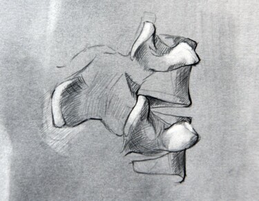 Zeichnungen mit dem Titel "Rückenwirbel I" von Johann Krammer, Original-Kunstwerk, Bleistift