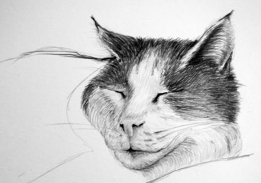 Dibujo titulada "Katze.jpg" por Johann Krammer, Obra de arte original, Lápiz