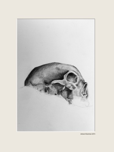 Disegno intitolato "Skull.jpg" da Johann Krammer, Opera d'arte originale, Matita