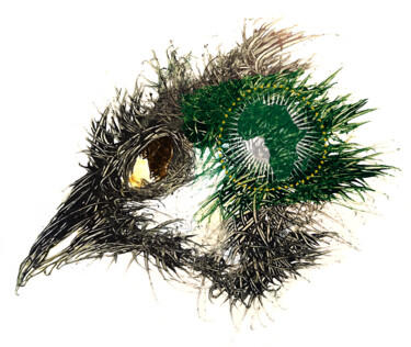 Digital Arts titled "Pandemi bird Afrika…" by Johann Sidlo, Original Artwork, Digital Painting