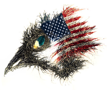 Digital Arts titled "Pandemi bird USA" by Johann Sidlo, Original Artwork, Digital Painting