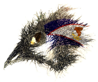 Digital Arts titled "Pandemi bird Amerik…" by Johann Sidlo, Original Artwork, Digital Painting