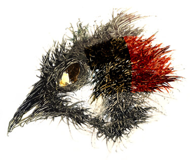 Digitale Kunst getiteld "Pandemi Bird Aosta" door Johann Sidlo, Origineel Kunstwerk, Digitaal Schilderwerk
