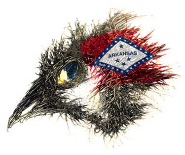 Digitale Kunst getiteld "Pandemi Bird Arkans…" door Johann Sidlo, Origineel Kunstwerk, Digitaal Schilderwerk