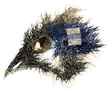 Цифровое искусство под названием "Pandemi Bird Basili…" - Johann Sidlo, Подлинное произведение искусства, Цифровая живопись