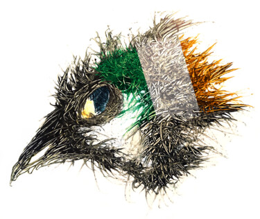 Digital Arts titled "Pandemi Bird Irland" by Johann Sidlo, Original Artwork, Digital Painting
