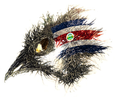 Цифровое искусство под названием "Pandemi Bird Costa-…" - Johann Sidlo, Подлинное произведение искусства, Цифровая живопись