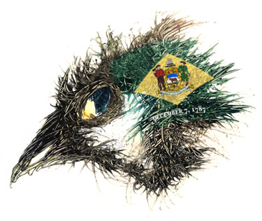 Arts numériques intitulée "Pandemi Bird Delawa…" par Johann Sidlo, Œuvre d'art originale, Peinture numérique