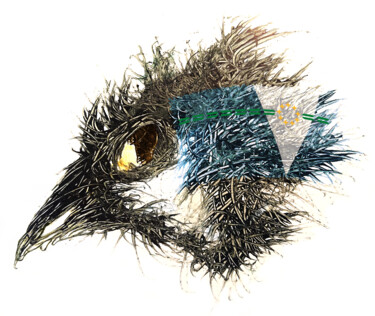 Arts numériques intitulée "Pandemi Bird Formosa" par Johann Sidlo, Œuvre d'art originale, Peinture numérique