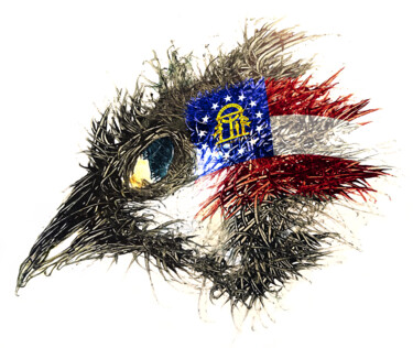 Digitale Kunst mit dem Titel "Pandemi Bird Georgia" von Johann Sidlo, Original-Kunstwerk, Digitale Malerei