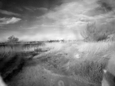 Fotografie mit dem Titel "Paysage 5" von Johanna Bouvarel, Original-Kunstwerk, Digitale Fotografie Auf Aluminium montiert