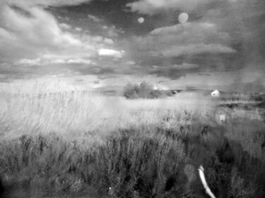 「Paysage 6」というタイトルの写真撮影 Johanna Bouvarelによって, オリジナルのアートワーク, デジタル アルミニウムにマウント