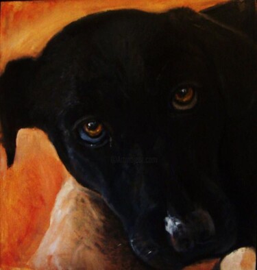 Painting titled "black labrador 2" by Johanna De Groot, Original Artwork, Oil