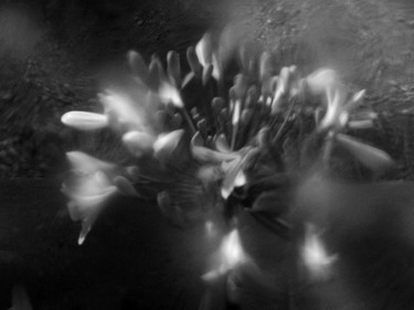 paysage 11 Photographie intitulée "paysage 11" par Johanna Bouvarel, Œuvre d'art originale, Photographie numérique