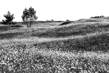 Fotografie mit dem Titel "champs de lièvres" von Johanne Gicquel, Original-Kunstwerk, Digitale Fotografie