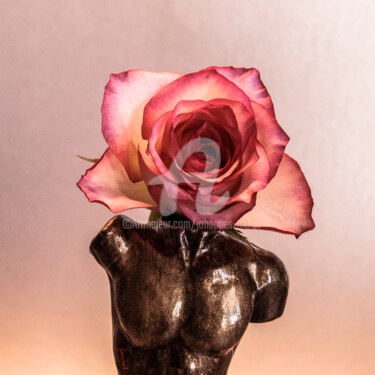 Arts numériques intitulée "Chevalier á la Rose…" par Johannes Murat, Œuvre d'art originale, Photographie numérique