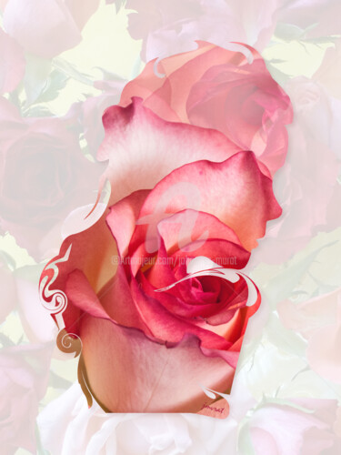 Digitale Kunst mit dem Titel "Flower Portrait  M0…" von Johannes Murat, Original-Kunstwerk, Collagen