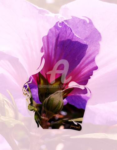 Цифровое искусство под названием "Flower Portrait  M0…" - Johannes Murat, Подлинное произведение искусства, Коллажи