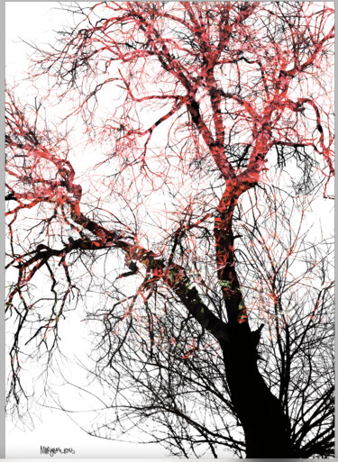 Grafika cyfrowa / sztuka generowana cyfrowo zatytułowany „Branch Out 2” autorstwa John Calder Gunn, Oryginalna praca, Kolaż…