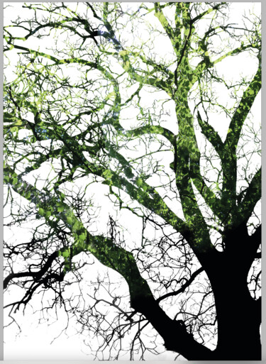 Grafika cyfrowa / sztuka generowana cyfrowo zatytułowany „Branch Out 3” autorstwa John Calder Gunn, Oryginalna praca, Fotogr…