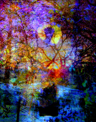 Цифровое искусство под названием "Lucid Dream" - John Calder Gunn, Подлинное произведение искусства