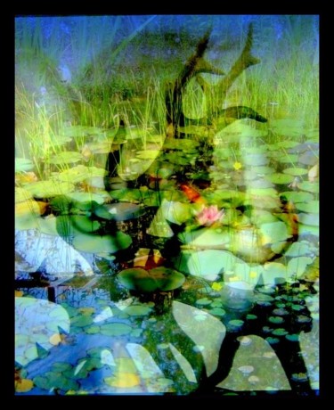 Digital Arts titled "swamp eyes" by John Calder Gunn, Original Artwork