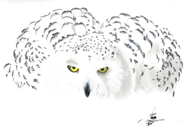 Drawing titled "Snowy Owl" by John Creekmore, Original Artwork, Ink