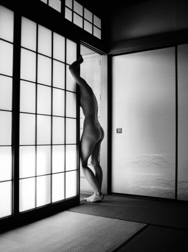 Фотография под названием "Soft Nude II" - John Donica, Подлинное произведение искусства, Цифровая фотография